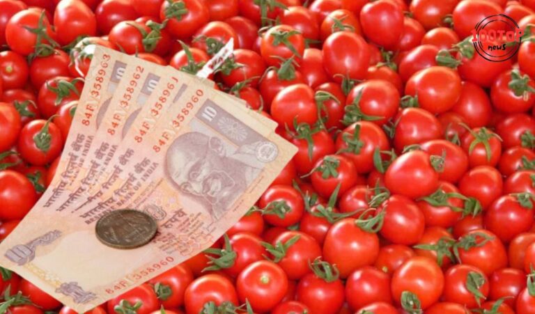 Tomato Price